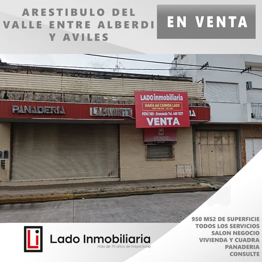 ARISTOBULO DEL VALLE E/ ALBERDI Y AVILES